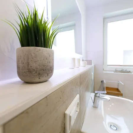 Strandrose Neu * Zingst