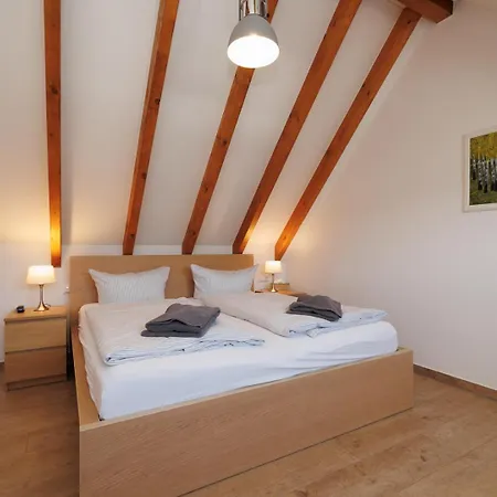 Strandrose Neu Zingst